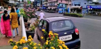 plants-in-sulthan-bathery