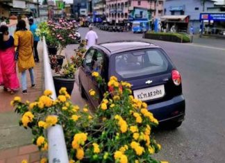 plants-in-sulthan-bathery