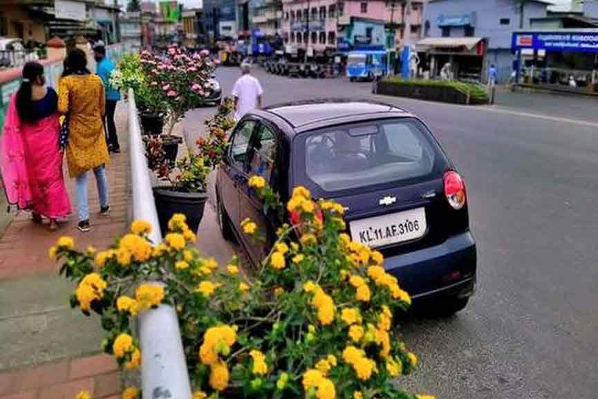 plants-in-sulthan-bathery plants-in-sulthan-bathery