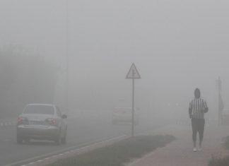fog alert in uae
