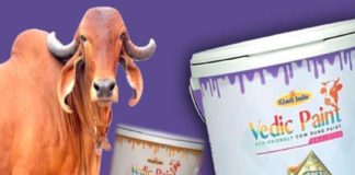 ചാണകത്തിൽ നിന്ന് പെയിന്റും; ഖാദി പ്രകൃതിക് പെയിന്റ് ഇന്ന് പുറത്തിറക്കും