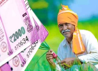 പിഎം കിസാൻ സമ്മാൻ നിധി; കേരളത്തിലെ ഭൂരിപക്ഷം കർഷകരും പുറത്താവും
