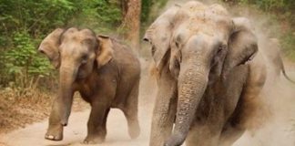 เดเดพเดเตเดเดพเดจเดฏเต เดคเตเดฐเดคเตเดคเดพเดจเตเดณเตเดณ เดถเตเดฐเดฎเดคเตเดคเดฟเดจเดฟเดเต เด
เดชเดเดเด; เดฏเตเดตเดพเดตเดฟเดจเตเดฑเต เดเดพเดดเตโเด เดจเดทเตโเดเดชเตเดชเตเดเตเดเต