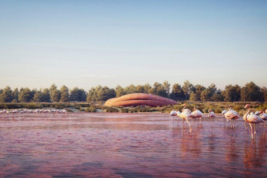 Abu Dhabi Flamingo Sanctuary Abu Dhabi Flamingo Sanctuary