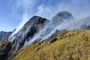 MalabarNews_wildfire