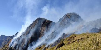 MalabarNews_wildfire