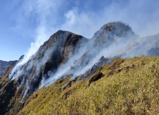 MalabarNews_wildfire