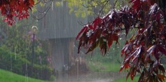 Rain-in-Kerala