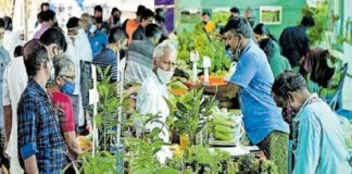 ‘പച്ചമീനും പച്ചക്കറിയും’ മേള ഇന്ന് സമാപിക്കും kannur-mela