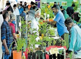 ‘പച്ചമീനും പച്ചക്കറിയും’ മേള ഇന്ന് സമാപിക്കും kannur-mela
