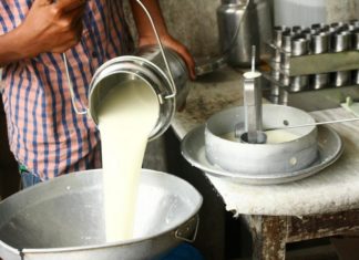 milk price