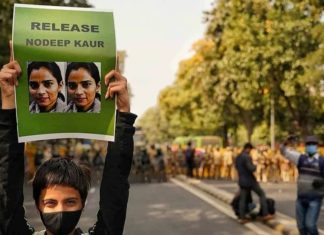 nodeep kour granted bail