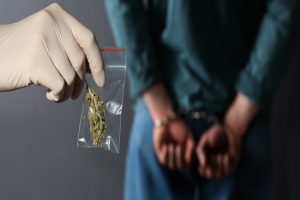 Cannabis smuggling in Andhra Pradesh; The mastermind of the gang has been arrested