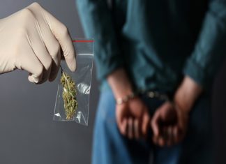 ആന്ധ്രയിൽ നിന്ന് കഞ്ചാവ് കടത്ത്; സംഘത്തിന്റെ മുഖ്യസൂത്രധാരൻ പിടിയിൽ Cannabis smuggling in Andhra Pradesh; The mastermind of the gang has been arrested