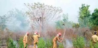 fire-in-munda-estate