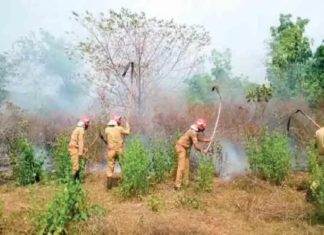 fire-in-munda-estate