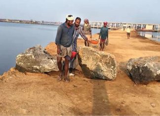 thanur-harbour