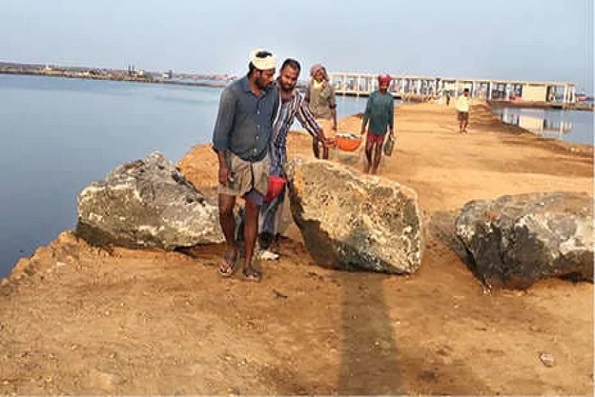 thanur-harbour thanur-harbour