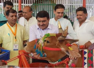 cow science exam