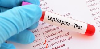 leptospirosis