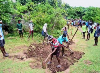 കാടുവെട്ടി വഴിയൊരുങ്ങുന്നു; ജനങ്ങളുടെ യാത്രാ ക്ളേഷത്തിന് പരിഹാരം; വനപാത നിര്മാണത്തിന് തുടക്കമായി