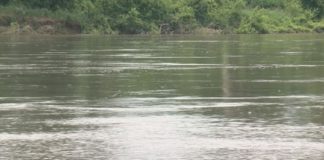 പട്ടാമ്പിയിൽ വിദ്യാർഥി കുളത്തിൽ മുങ്ങി മരിച്ചു river