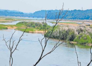 ഭാരതപ്പുഴയിൽ തടയണ നിർമ്മാണം; ഇന്ന് പൂർത്തിയാകും bharathappuzha