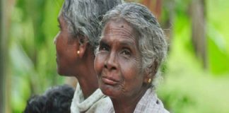 ഗോത്ര മേഖലയിൽ സമഗ്ര വികസനം; ഊരുകളിൽ പൊതുസൗകര്യം ഉറപ്പുവരുത്തും Comprehensive development in the tribal areas; Public facilities will be ensured in the villages