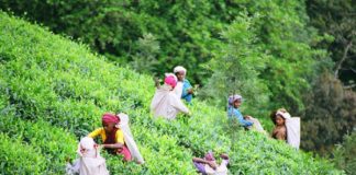 വയനാടിനായി 7,000 കോടി; പാക്കേജ് പ്രഖ്യാപിച്ച് മുഖ്യമന്ത്രി