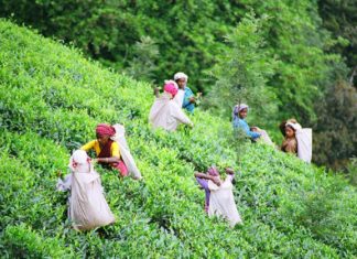 เดตเดฏเดจเดพเดเดฟเดจเดพเดฏเดฟ 7,000 เดเตเดเดฟ; เดชเดพเดเตเดเตเดเต เดชเตเดฐเดเตเดฏเดพเดชเดฟเดเตเดเต เดฎเตเดเตเดฏเดฎเดจเตเดคเตเดฐเดฟ