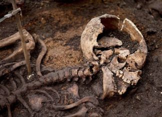 เดญเดพเดฐเดคเดชเตเดชเตเดดเดฏเดฟเดฒเตโ เดเดฃเตเดเตเดคเตเดคเดฟเดฏ เด
เดธเตโเดฅเดฟ เดคเดฟเดฐเดฟเดเตเดเดฑเดฟเดเตเดเต