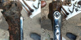 skull and bones found at Ponnani