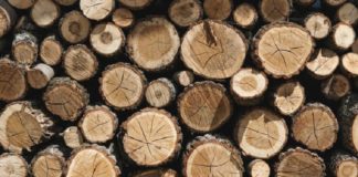 เด
เดจเดงเดฟเดเตเดคเดฎเดพเดฏเดฟ เดเดเดคเตเดคเดพเดจเตโ เดถเตเดฐเดฎเดฟเดเตเด เดเดเตเดเดฟเดคเตเดคเดเดฟ เดชเดฟเดเดฟเดเตเดเดฟ Timber caught