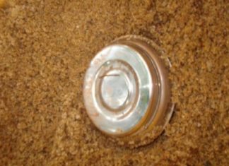 നാദാപുരത്ത് സ്റ്റീൽ ബോംബുകള് കണ്ടെത്തി nadapuram-steel-bomb-found