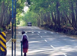 അരിക്കൊമ്പൻ പുനരധിവാസം; നെല്ലിയാമ്പതിയിൽ ഹർത്താൽ തുടങ്ങി hartal