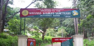 wayanad buffer zone