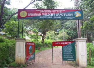 wayanad buffer zone