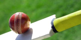 cricket-bat-ball