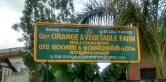നെല്ലിയാമ്പതി സർക്കാർ ഓറഞ്ച് ആൻഡ് വെജിറ്റബിൾ ഫാം; പദ്ധതികളുടെ ഉൽഘാടനം 7ന് Nelliyampathy orange and vegitable farm