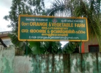നെല്ലിയാമ്പതി സർക്കാർ ഓറഞ്ച് ആൻഡ് വെജിറ്റബിൾ ഫാം; പദ്ധതികളുടെ ഉൽഘാടനം 7ന് Nelliyampathy orange and vegitable farm