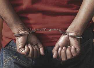 പുലിത്തോൽ വിൽക്കാൻ ശ്രമം; പിതാവും മക്കളും ഉൾപ്പടെ 6 പേർ അറസ്റ്റിൽ palakkad