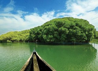 kadalundi-eco-tourism