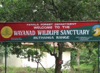 wayanad-wildlife-sanctuary