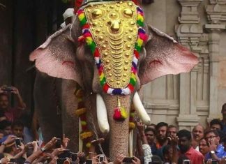 തെച്ചിക്കോട്ടുകാവ് രാമചന്ദ്രനെ എഴുന്നള്ളിപ്പിക്കുമോ? തീരുമാനം ഇന്ന് thechikottukavu-ramachandran
