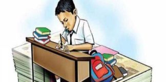 വിട്ടുവീഴ്ച വേണ്ട; സ്കൂൾ ഫീസ് മുടങ്ങിയാലും പഠനം ഉറപ്പാക്കണം; ഗുജറാത്ത് ഹൈക്കോടതി Government Should Ensure No Child Drops Out Due To Inability To Pay Fees: Gujarat High Court