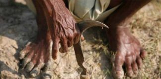 5 വർഷ കാലയളവിൽ രാജ്യത്ത് ആത്മഹത്യ ചെയ്തത് 58,243 കർഷകർ; കേന്ദ്രം