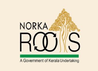 norka roots