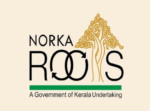 norka roots