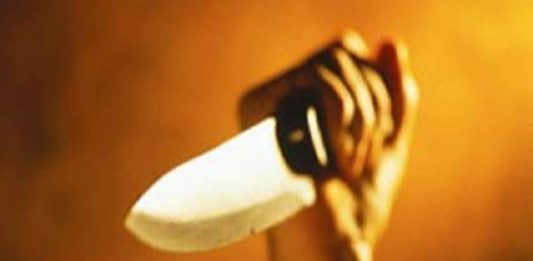 മദ്യലഹരിയിൽ തർക്കം; യുവാവ് സഹോദരനെ വെട്ടിക്കൊലപ്പെടുത്തി A young man was stabbed on Manaviyam Veethi
