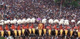 thrissur pooram